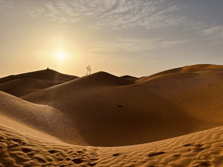 oman, desert, sand